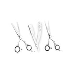 Combo Box - 6.5 Inch Professional Edge Shear + 6.5 Inch Barber Hair Thinning Shears + Straight Edge Razor